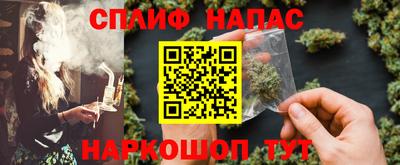 гашик Будённовск