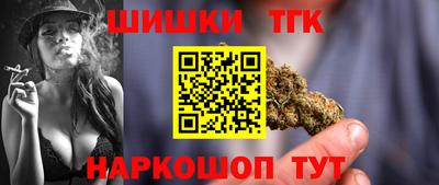 гашик Будённовск