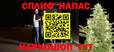 гашик Будённовск