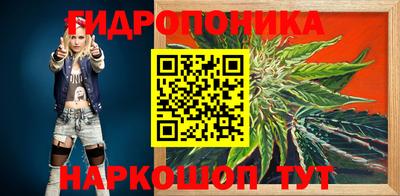 гашик Будённовск