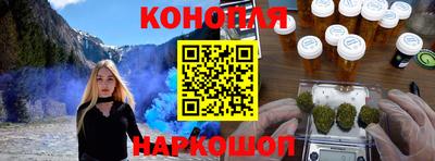 гашик Будённовск