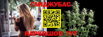 гашик Будённовск